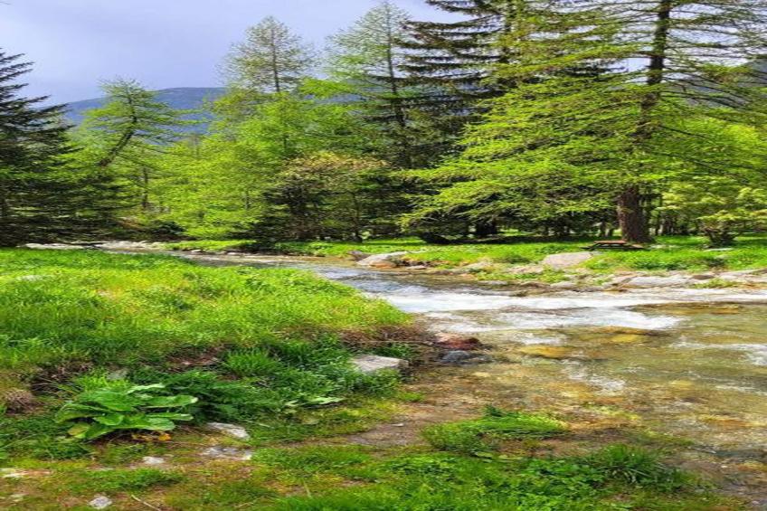 Les Terrasses d'Isola - foto 33