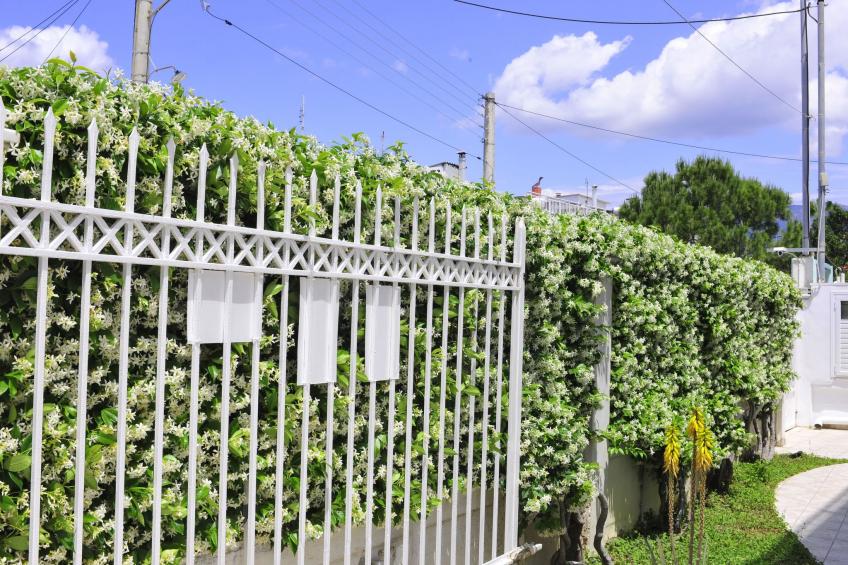 "Seaside Villa" in Strandnähe - foto 11