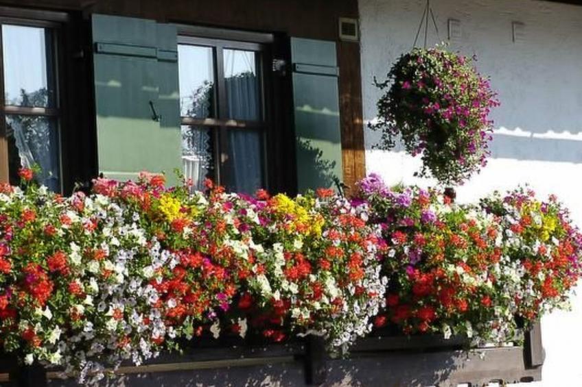 FeWo Bärli - foto 5