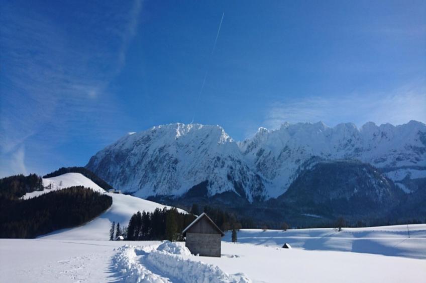 Landhaus Alpenblick Tauplitz - foto 17
