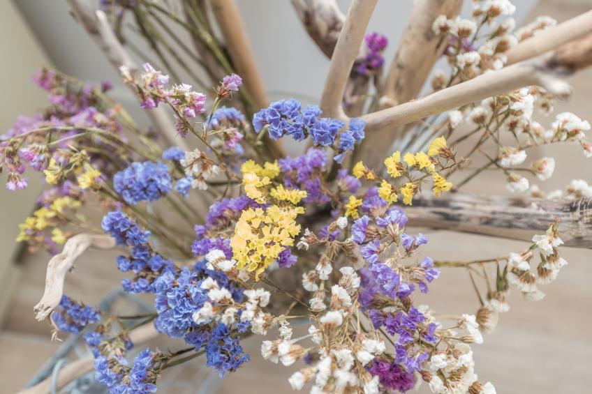 "Ena" mit Blick auf das Wasser - foto 26