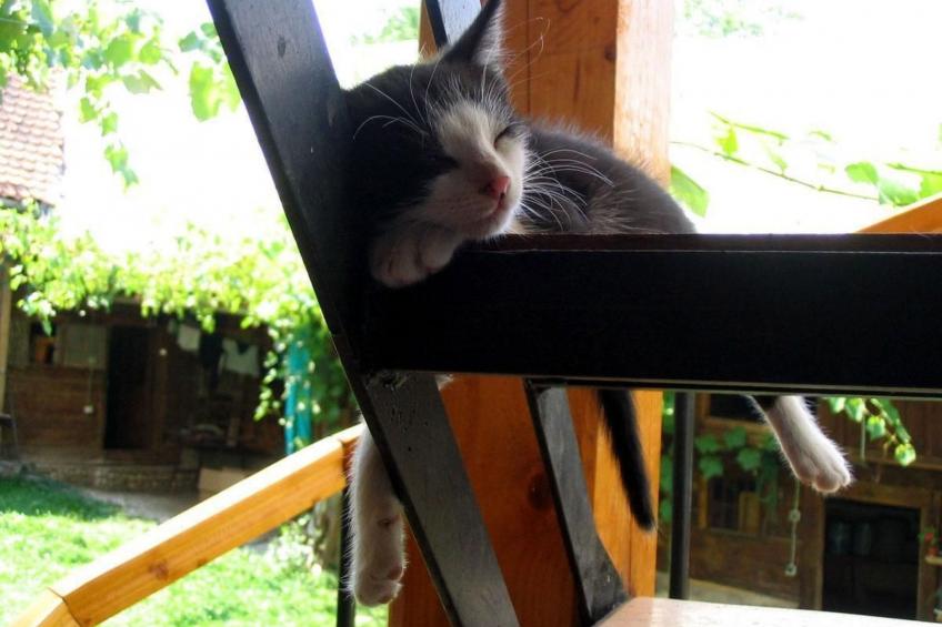 Casa Crina - rustikale Ferienvilla in Siebenbürgen - foto 46