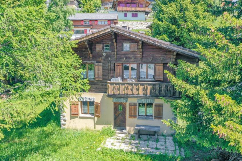 Chalet Leiggener Appartement/Fewo, Dusche Leiggener EG - foto 3
