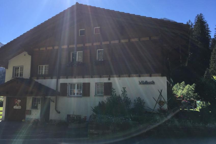 Wildbach - foto 2