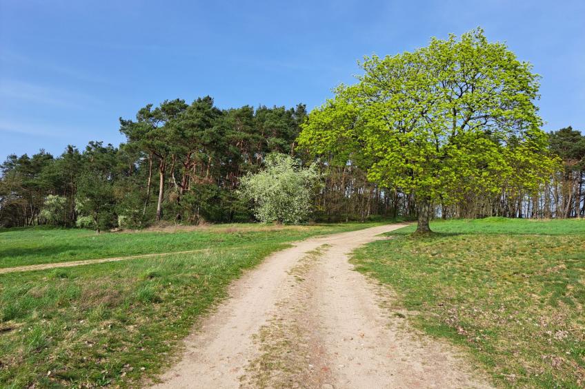 Fh "Molkenberg" - foto 29