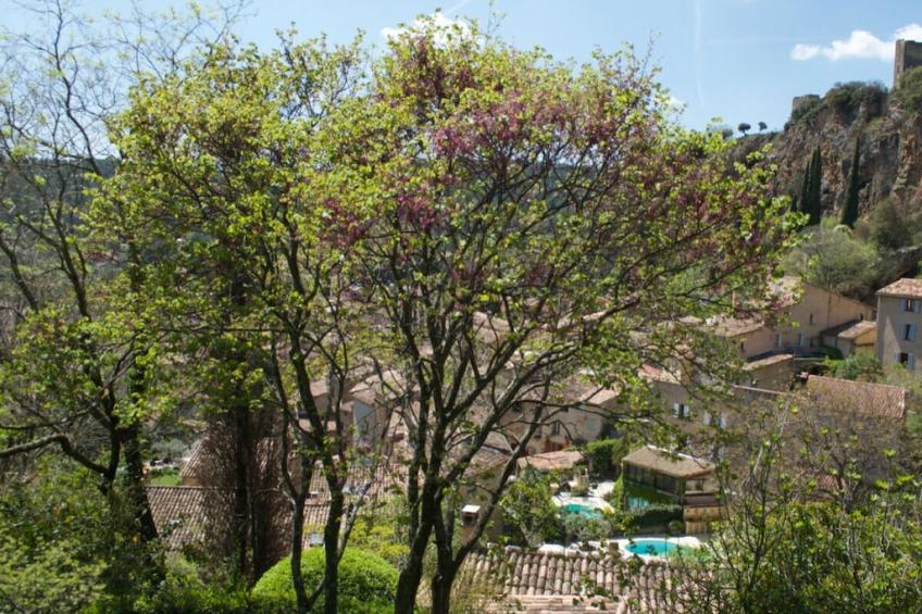 412670 - foto 50