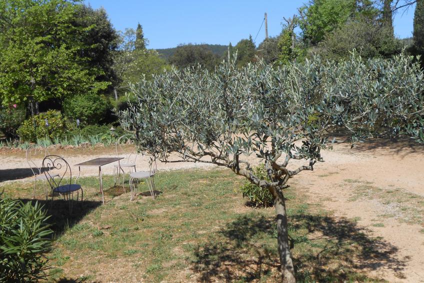 Le clos de la Tuf - foto 12