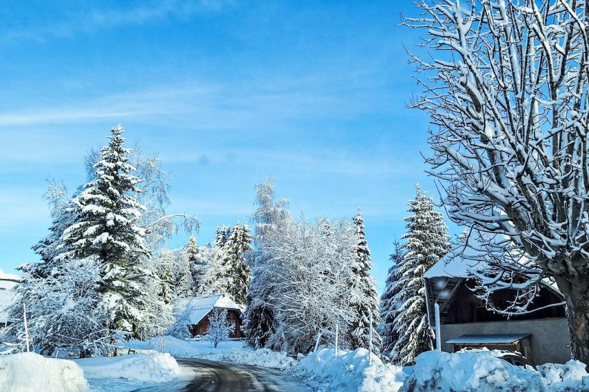 Bellentre Chalet le Pommier 5 - foto 64