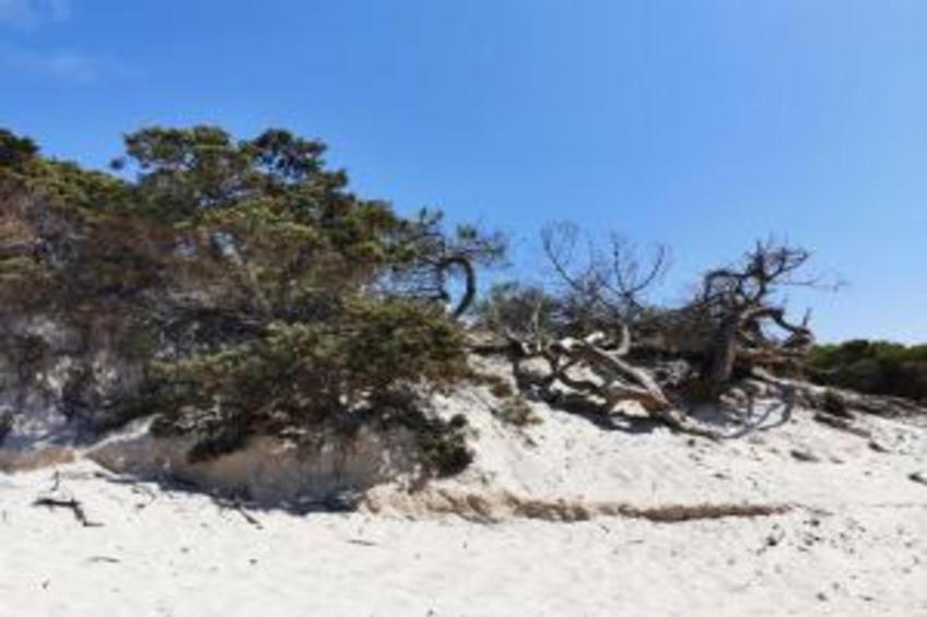 CASA MERISI - foto 25