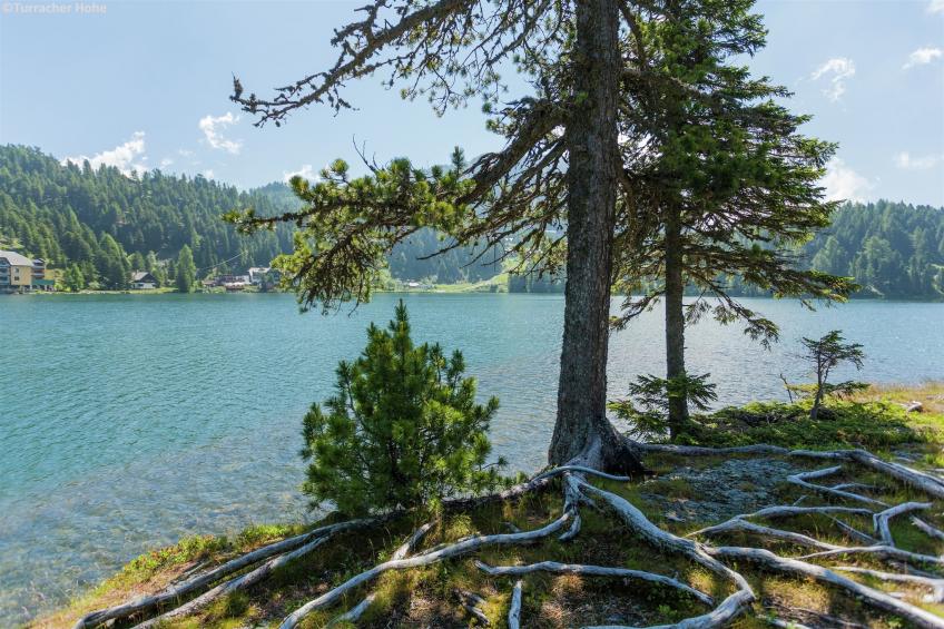 Alpenpark Turracherhöhe - foto 18