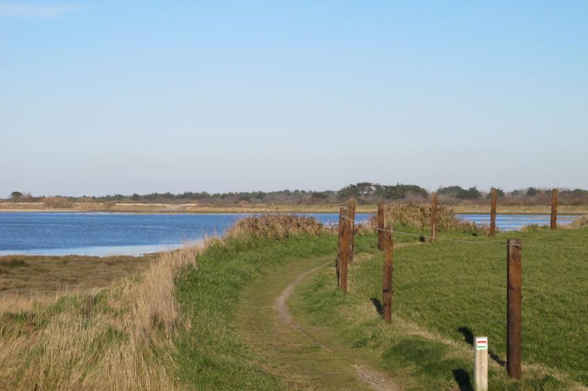 Villa Tante Alice  Meerblick Komfort Villa Alleinlage mit Aufzug Jacuzzi Dampfb - foto 52