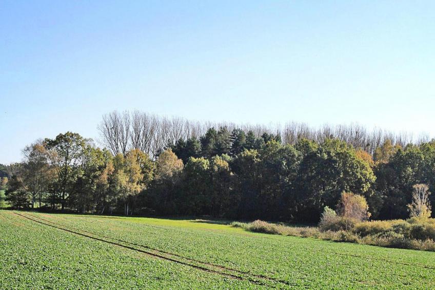 Ferienhof Mirow, Mirow - foto 10