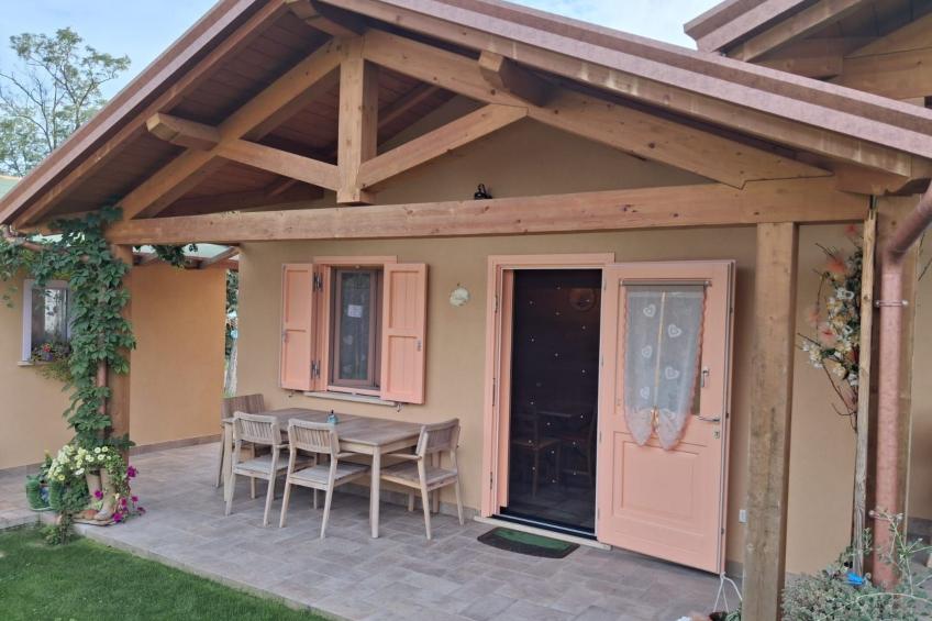 'Vindemia la salmon - foto 2