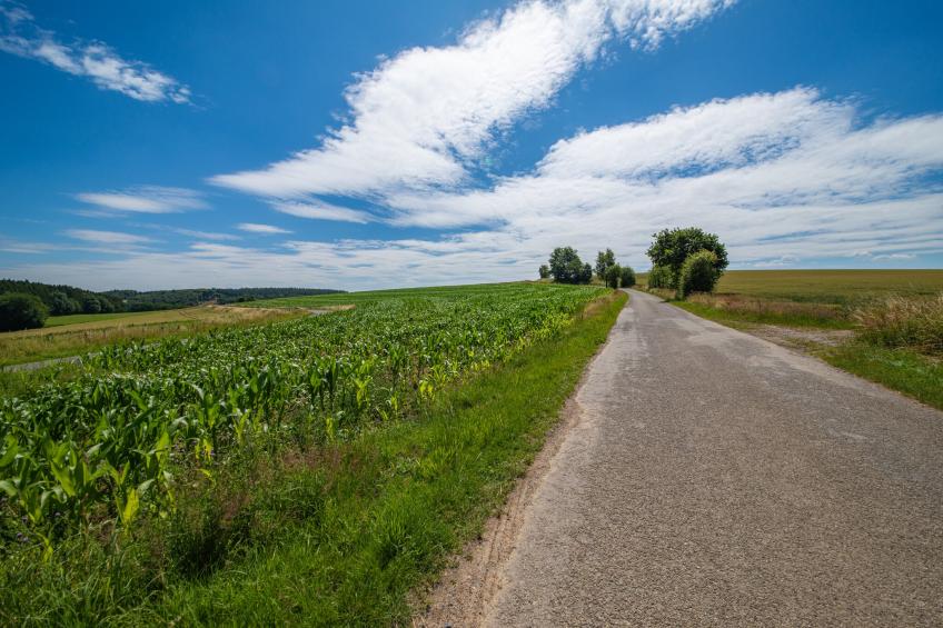Gîte de la Ferme Louis - foto 40
