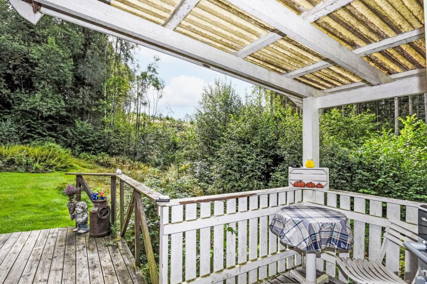 Liane Dalen - foto 18