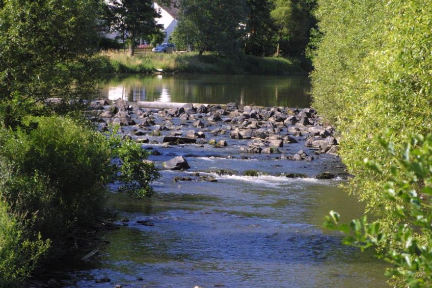Chalet Wiedfluh in Waldbreitbach - foto 28