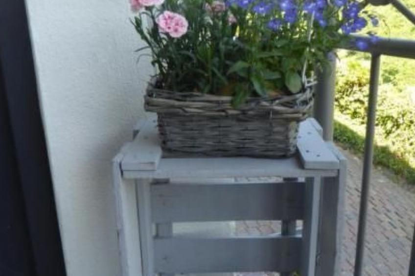 Schäfers Ferienwohnung Oberdiebach am Mittelrhein - foto 8