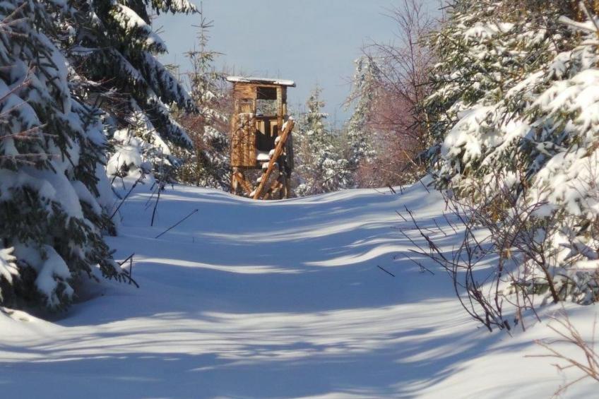 Fewo "Am Skihang OG" - foto 10