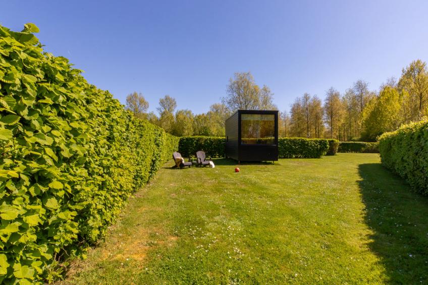 Tiny Cabin Sunshine - foto 10