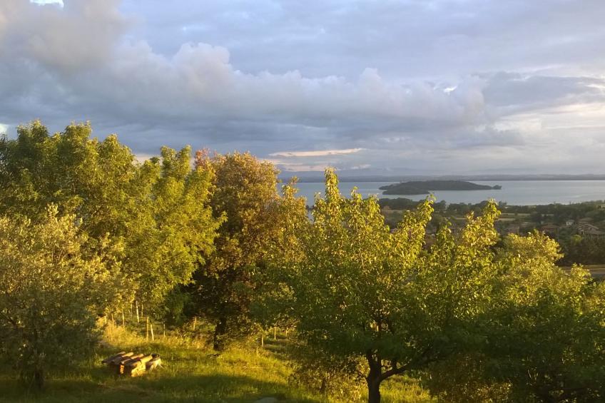 Renovierte Wohnung - foto 17