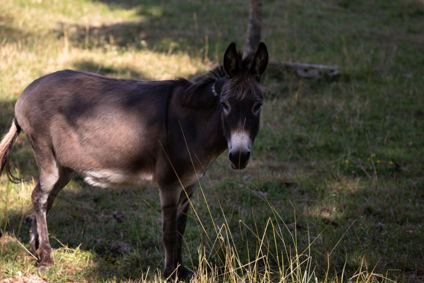 Appartement LouisXVI - foto 17