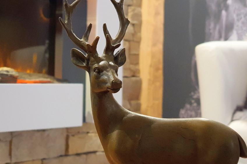 Ruhige-Ferienwohnung mit Süd Balkon in Zentrum - foto 5