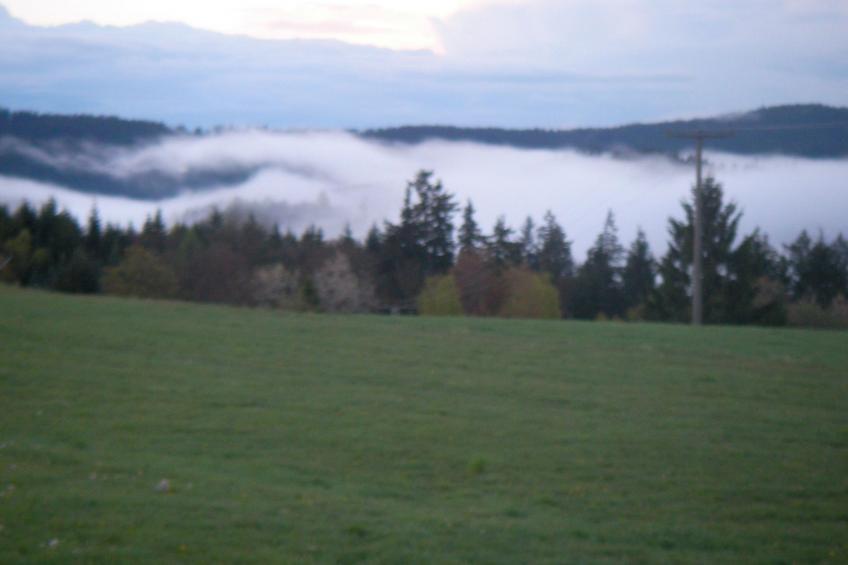 Appartement in Elbersreuth mit Garten - foto 36