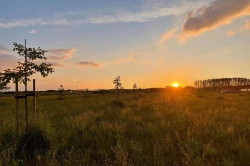 De Vrije Vogel - foto 38