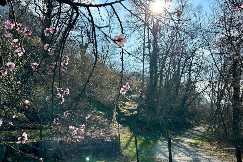 Insel-Ferienhaus - foto 27