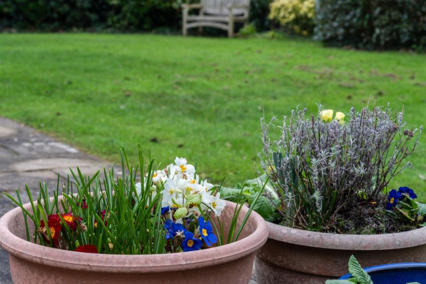 Sunny Nook - foto 53