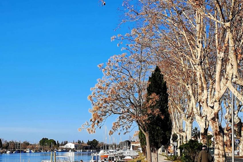 La résidence du Lac - maeva Home - foto 19