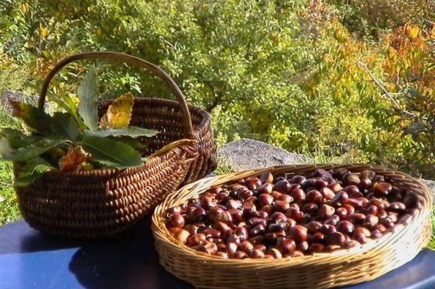 Gîte de Chapelèche Les Genêts - foto 19