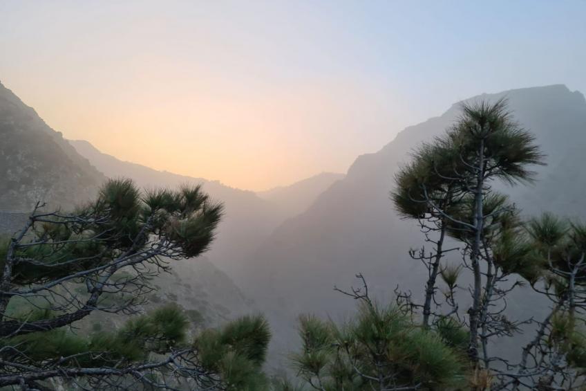 Casa Alicia Apart 1 - foto 40