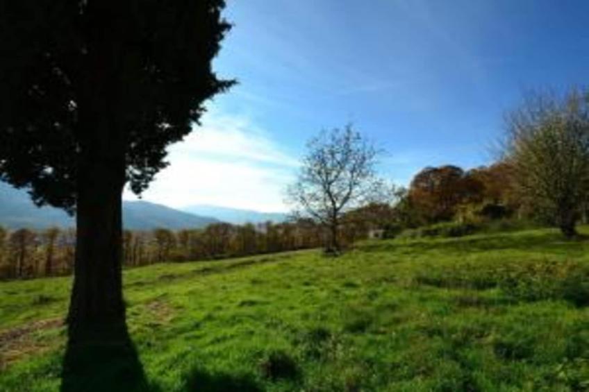 Lucia e Renzo - foto 32