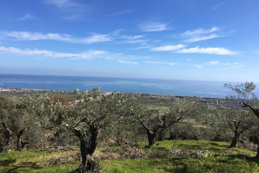 Wohnung in Badolato mit Terrasse - foto 18