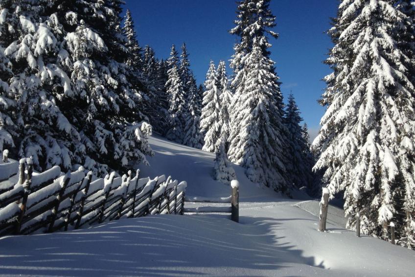 Guglhütte - foto 15