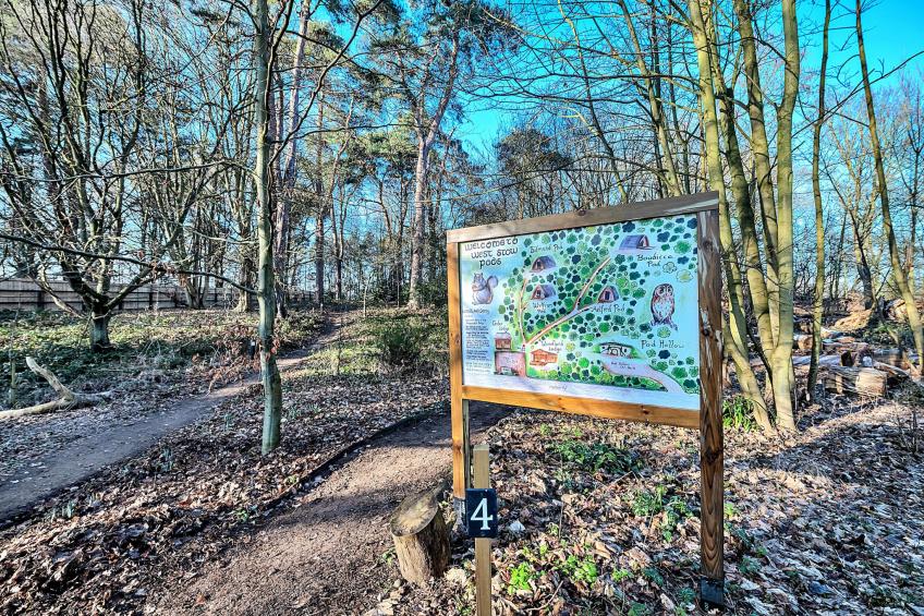 Pod Hollow - foto 16