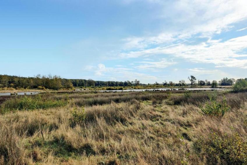 Vakantiepark de Noordster 1 - foto 37