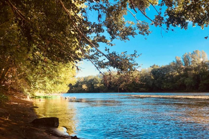 La Bergerie - foto 22