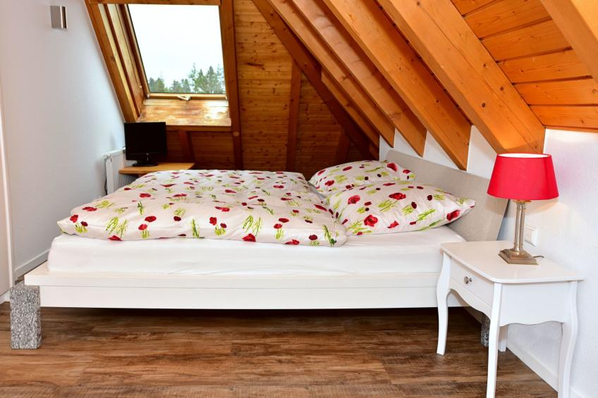 Apartment Black Forest Bollenhut Deluxe - foto 14