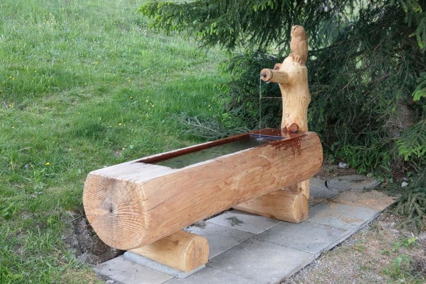 Maiensäss Camona, Siat, (Siat), 57004B - foto 16