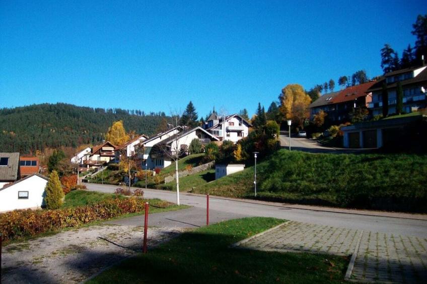 49168 - foto 5