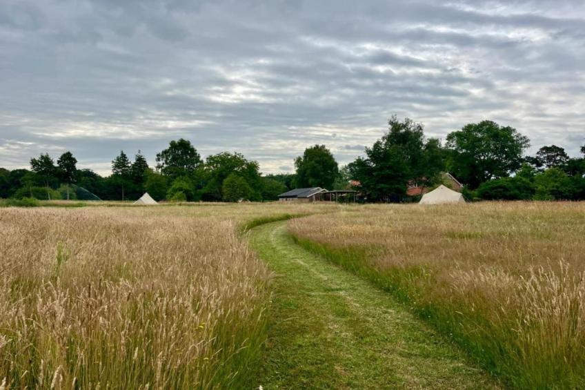 Wildzicht 253 - foto 26