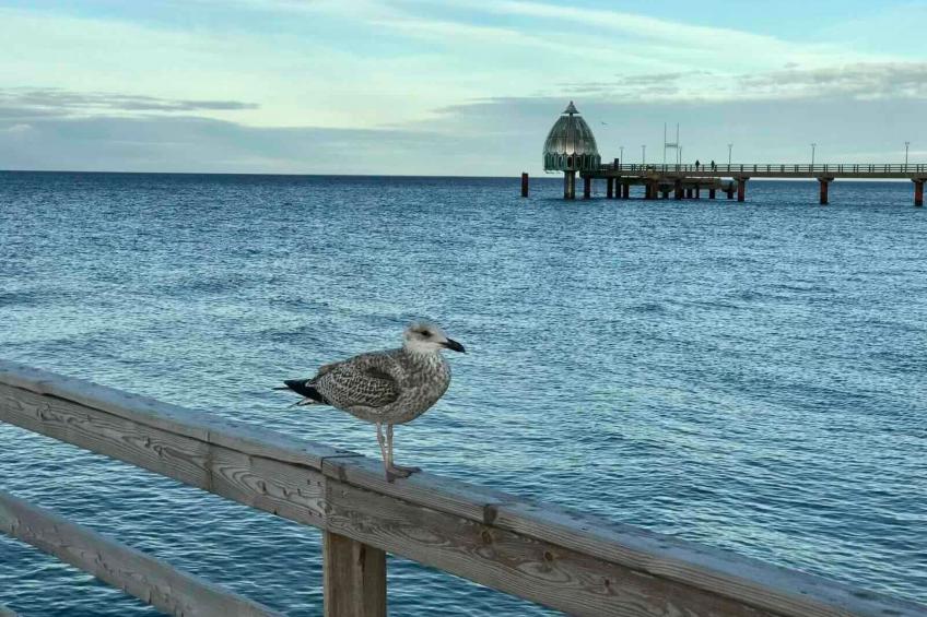 Wiesenblick 5 - foto 25