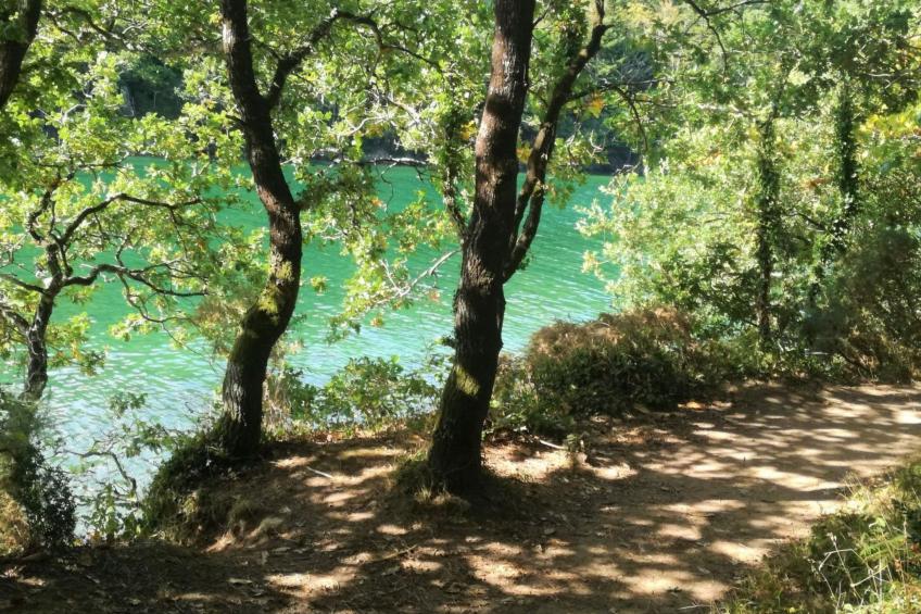 Pleine Nature in der Bretagne - foto 33