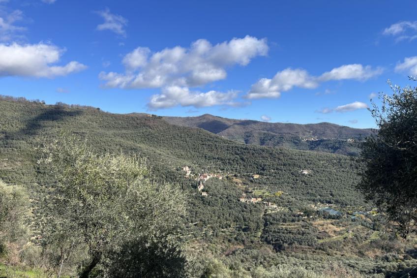 Agriturismo San Giuseppe (VLO210) - foto 56