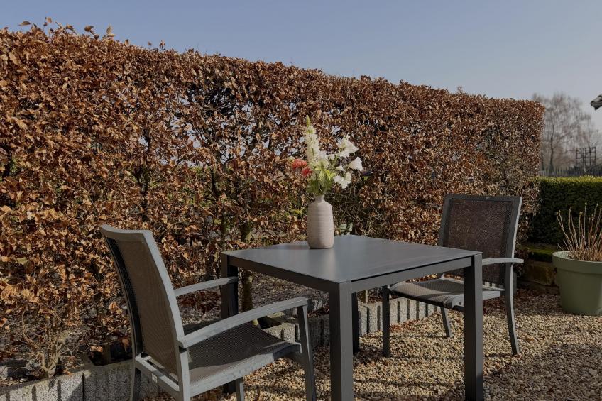 Logeren bij Laura - foto 29