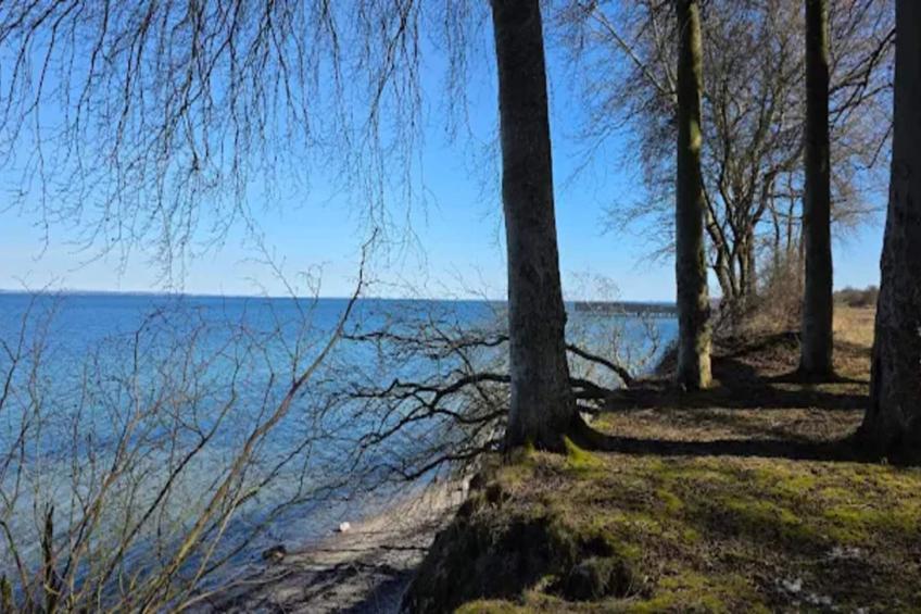 BF-ZVTNN - foto 16