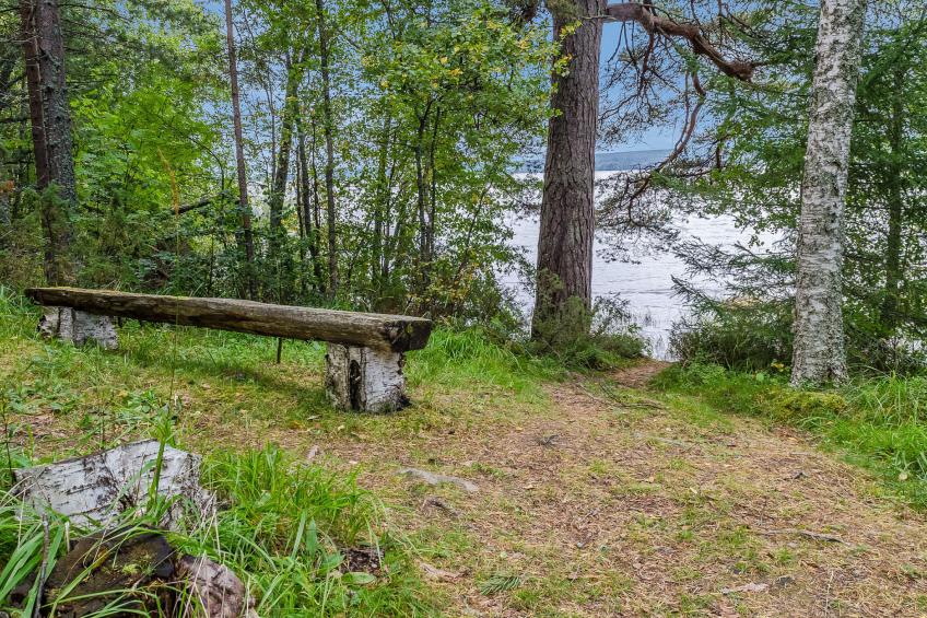 Säästöloma 5 c 10 by bomba - foto 21