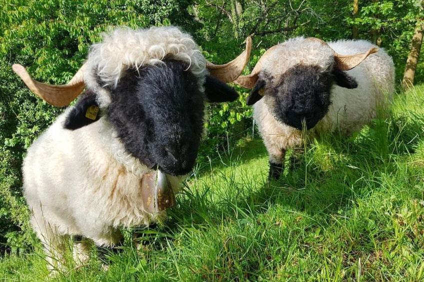 Sandgrube 2. OG Süd - foto 4